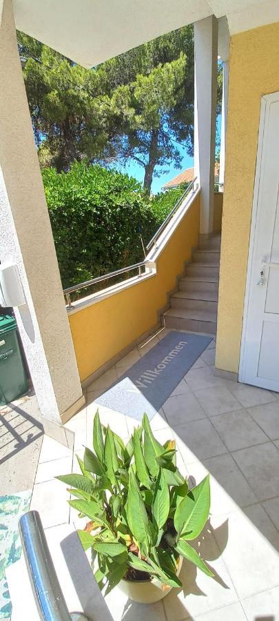 Apartments Petrovic 로고즈니차 외부 사진