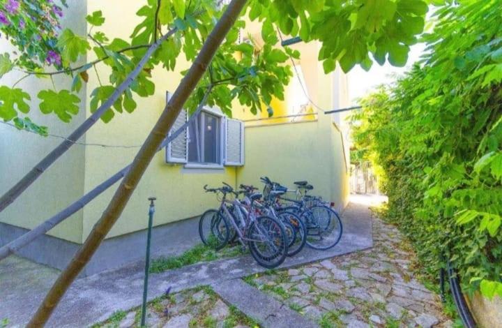 Apartments Petrovic 로고즈니차 외부 사진