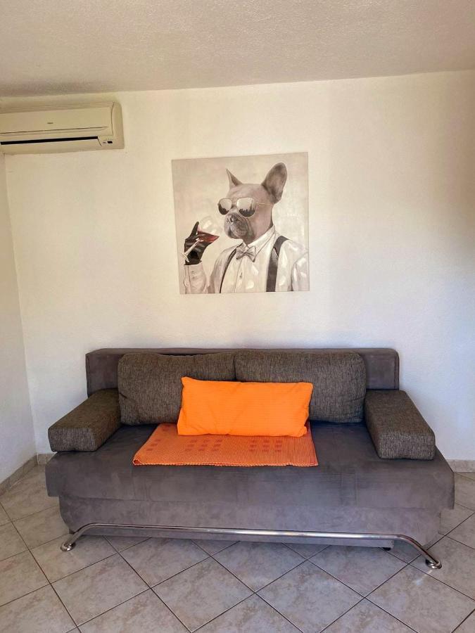 Apartments Petrovic 로고즈니차 외부 사진